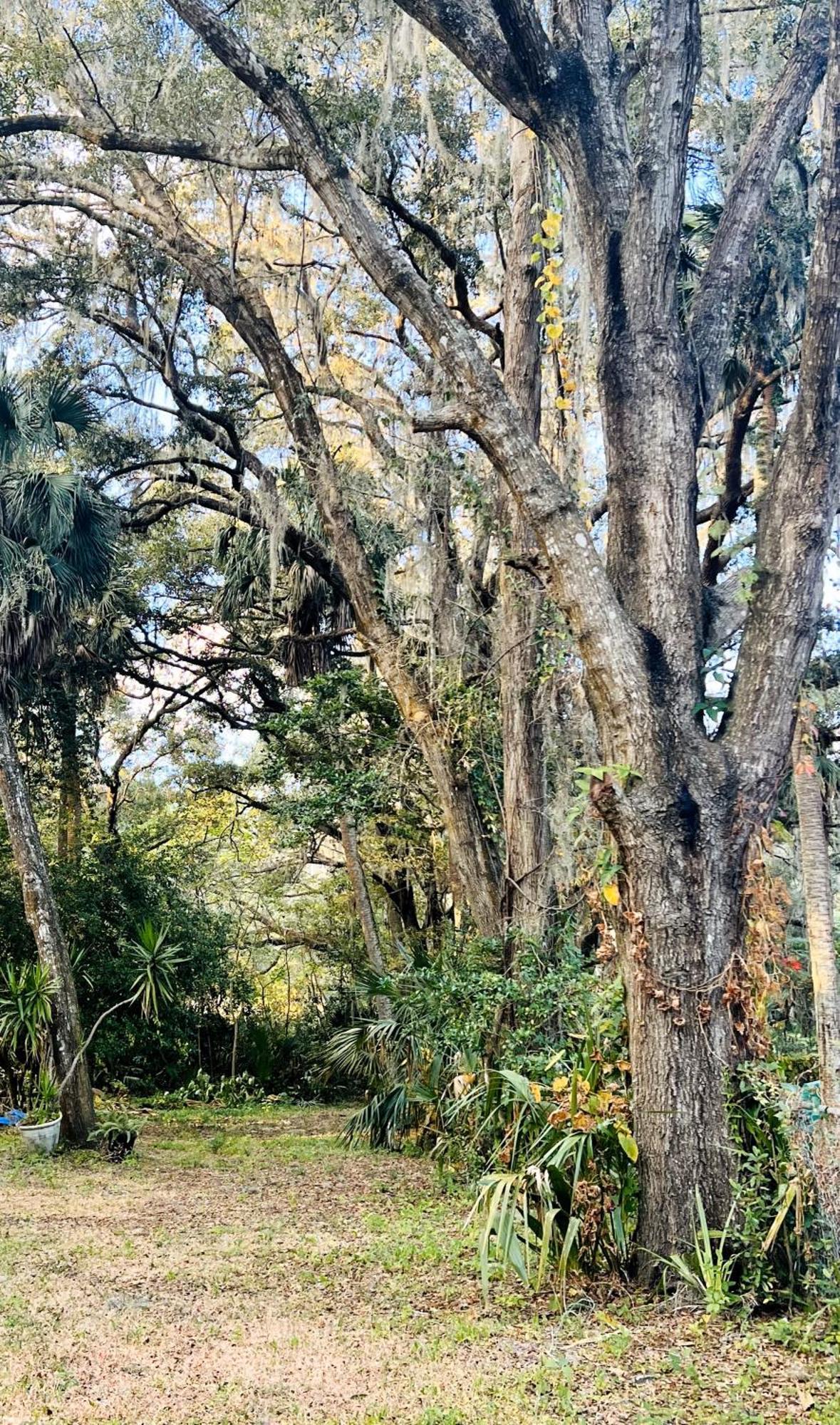 Country Welcome Micanopy Eksteriør bilde