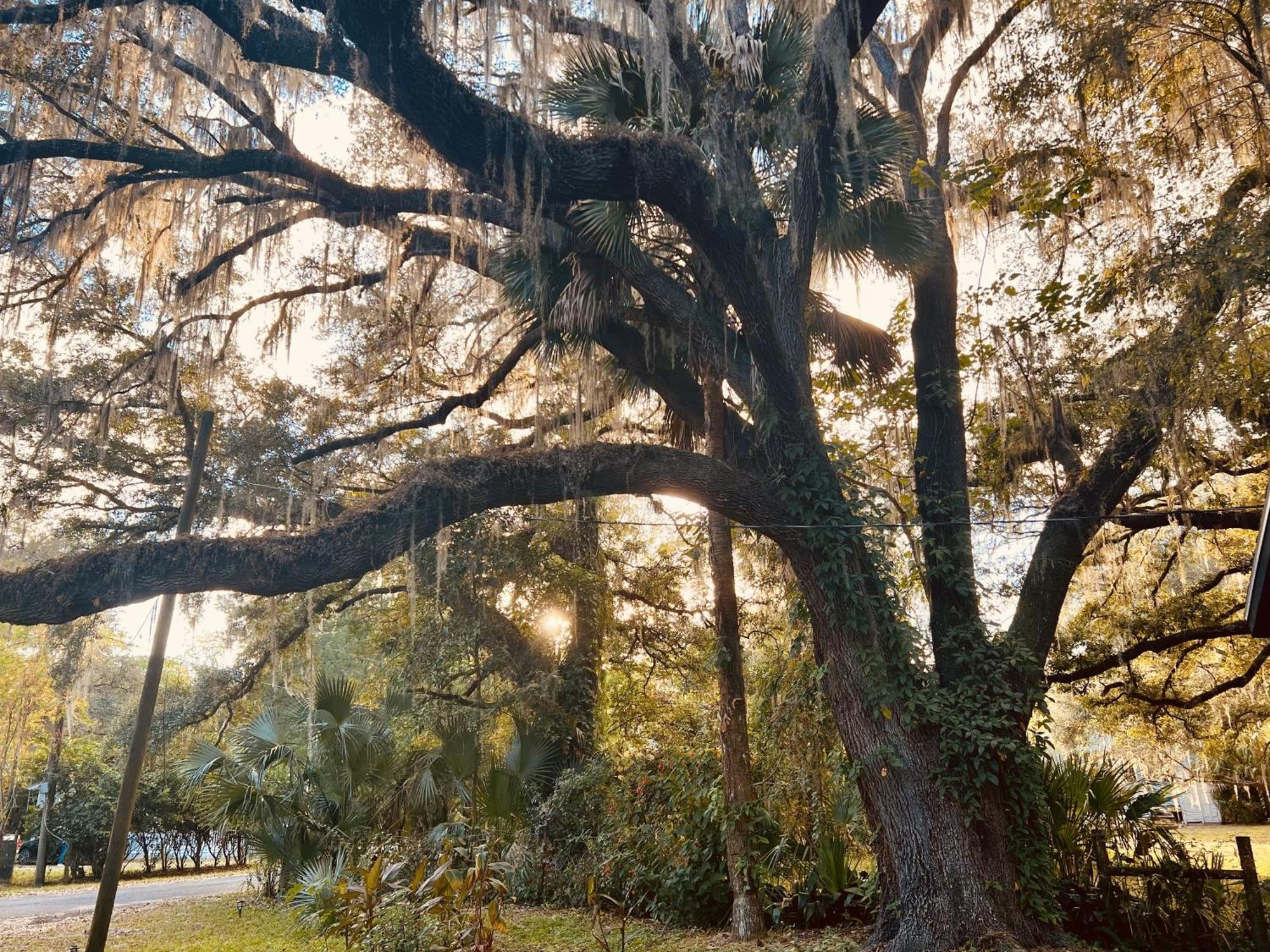 Country Welcome Micanopy Eksteriør bilde